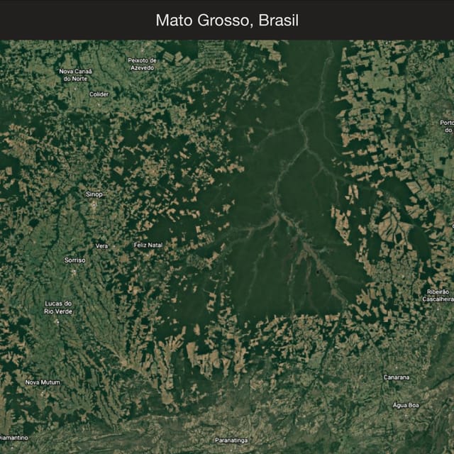 Satellite view of Mato Grosso, Brasil, forest cut into farm plots