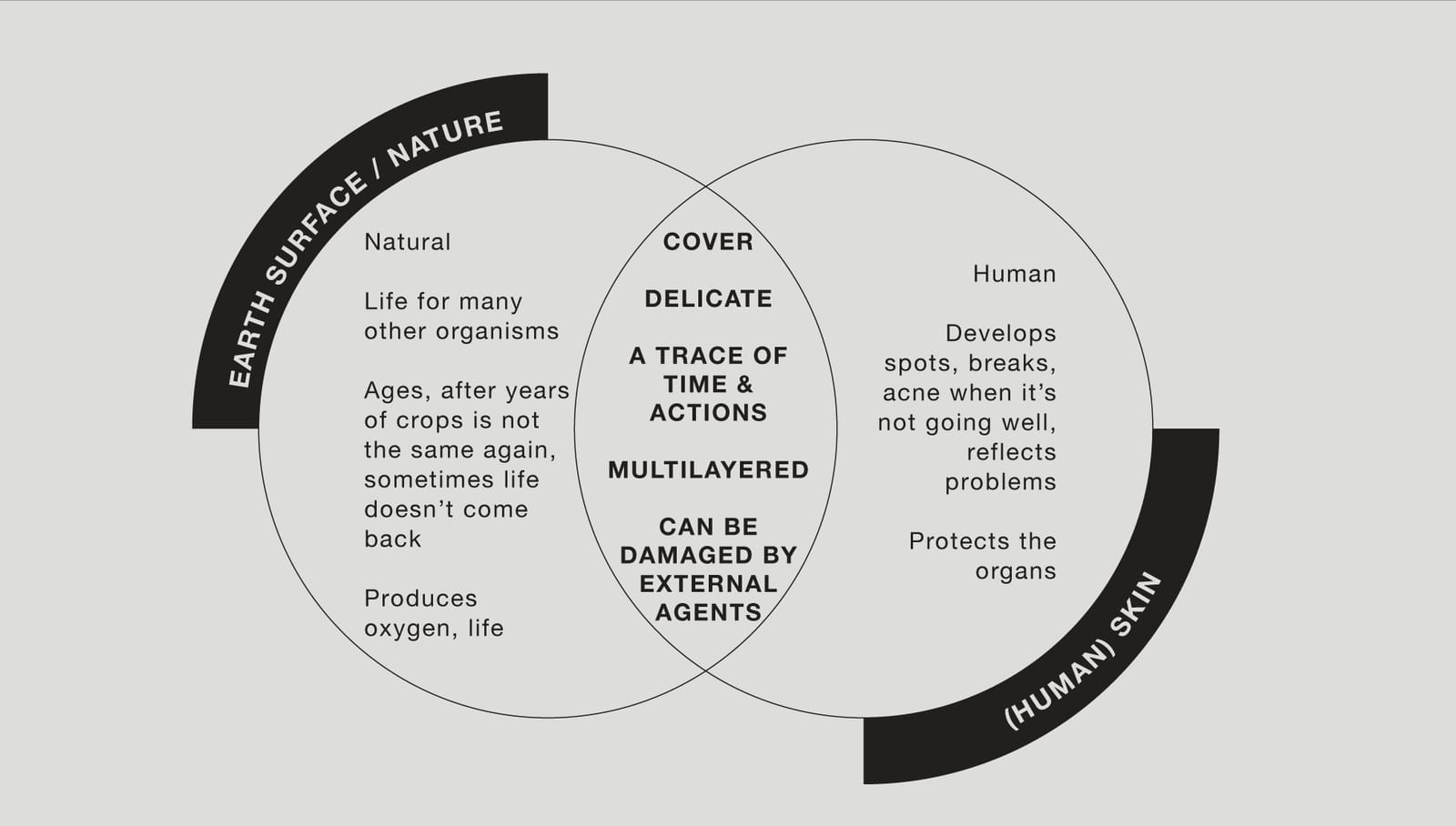 Venn diagram comparing the Earth's surface and human skin: both cover, are delicate, multilayered, carry a trace of time and actions, and can be damaged by external agents