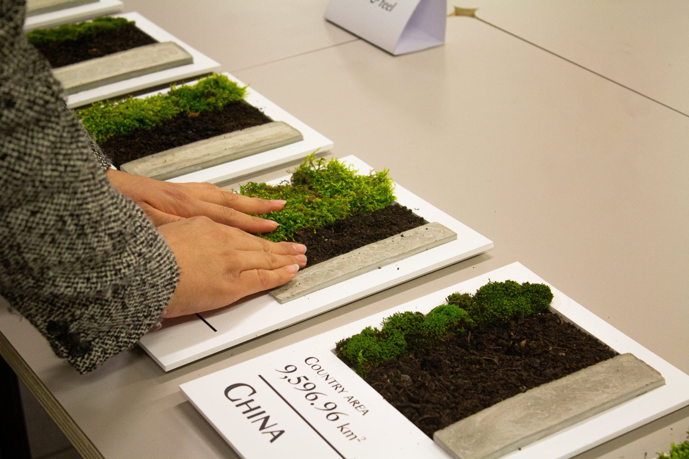 Hands resting on the moss of the China board